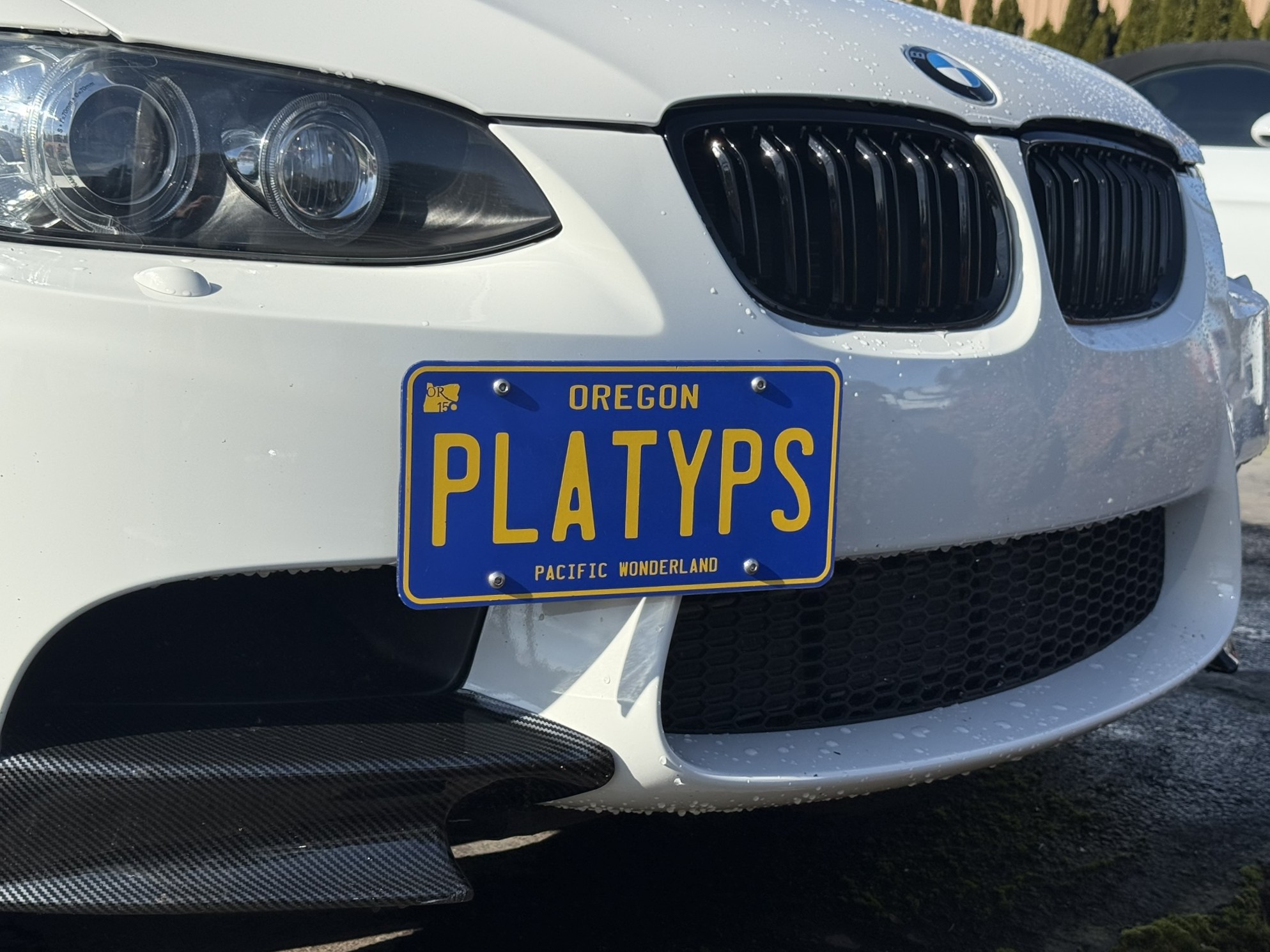 The Platypus License Plate Mount for BMW 3 Series E90, E91, E92, E93 2006 to 2013 M3