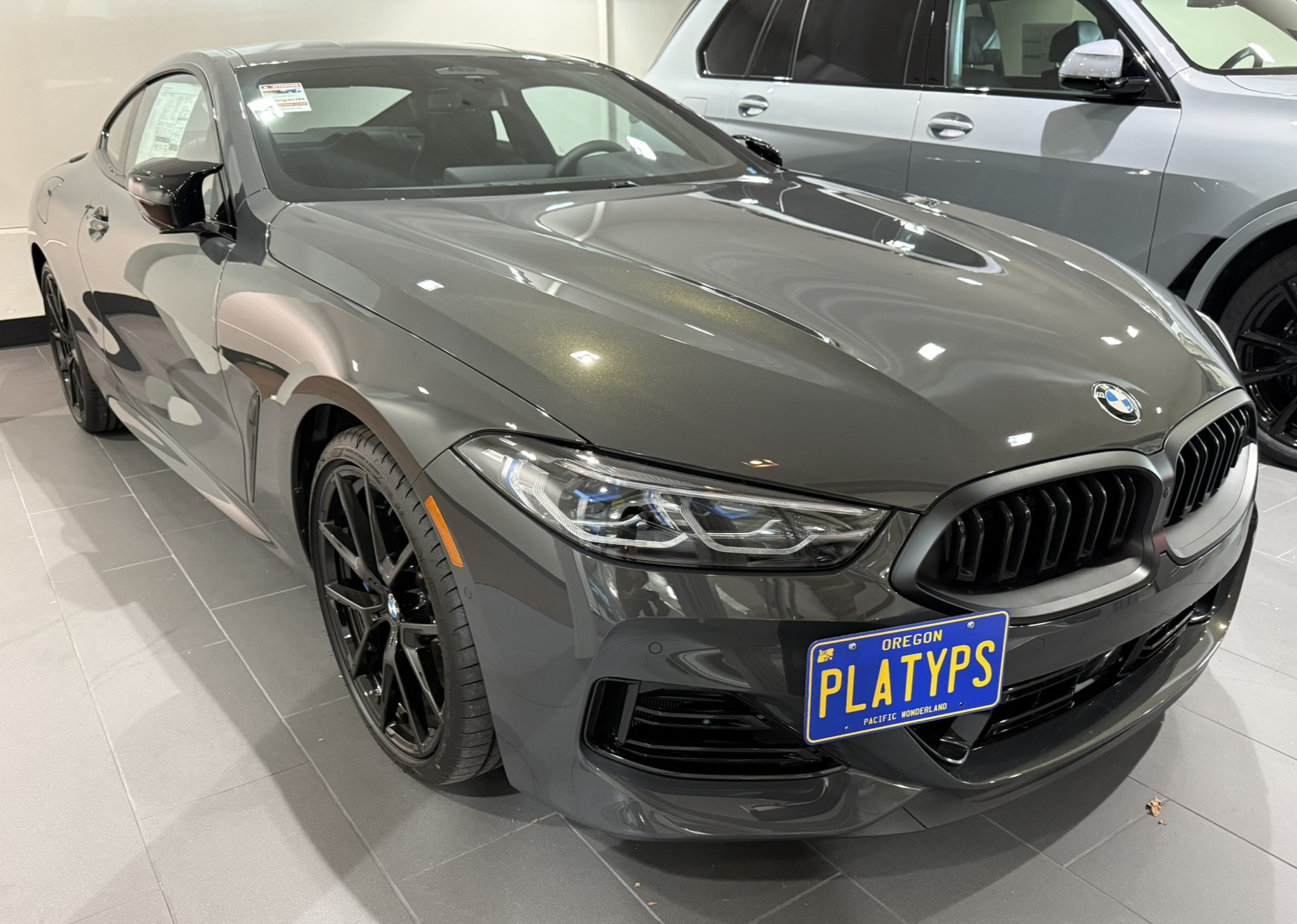 The Platypus License Plate Mount for BMW 8 Series G14, G15 2019 to