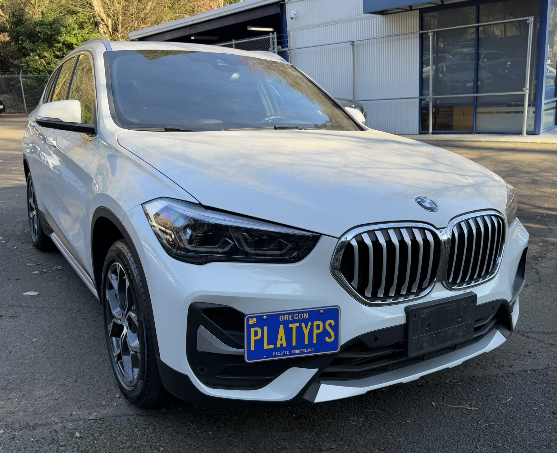 The Platypus License Plate Mount for BMW X1 F48 2016 to 2022