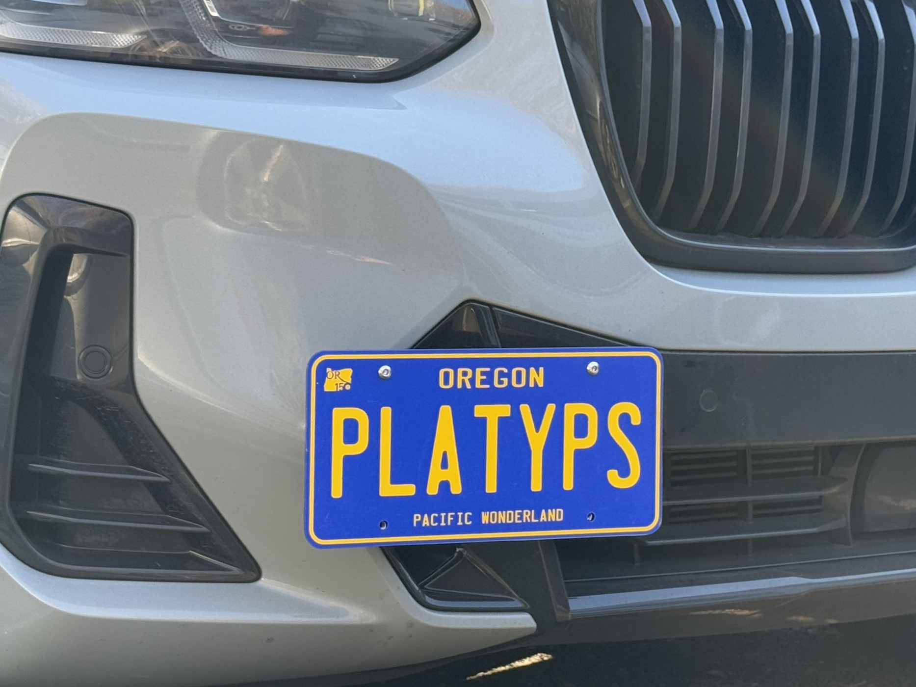 The Platypus License Plate Mount for BMW X3 G01 2018 to 2024 M40i