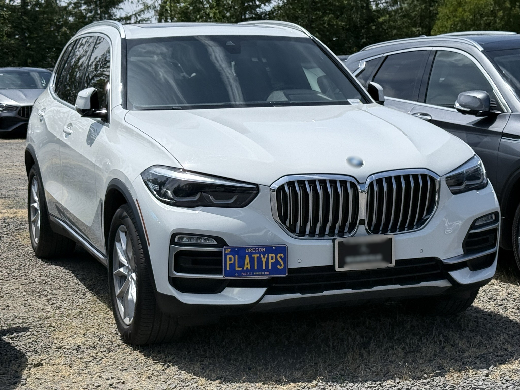 The Platypus License Plate Mount for BMW X5 G05 2019 to 2025 sDrive40i/xDrive40i (Shown on a pre-facelift 2020 X5 xDrive40i