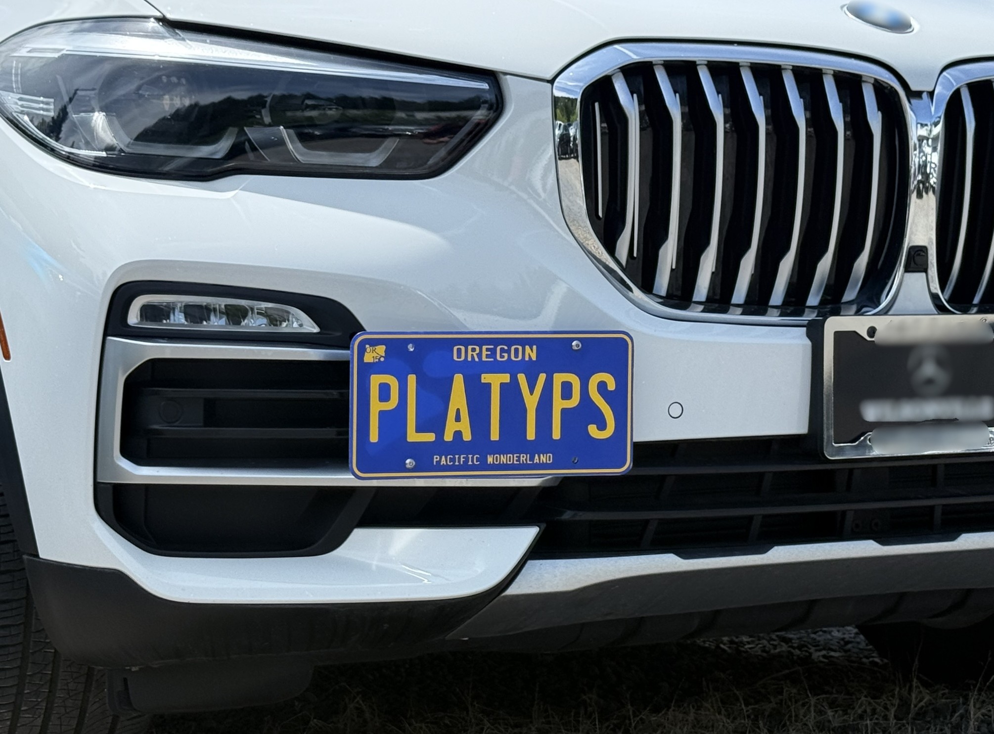 The Platypus License Plate Mount for BMW X5 G05 2019 to 2025 sDrive40i/xDrive40i (Shown on a pre-facelift 2020 X5 xDrive40i
