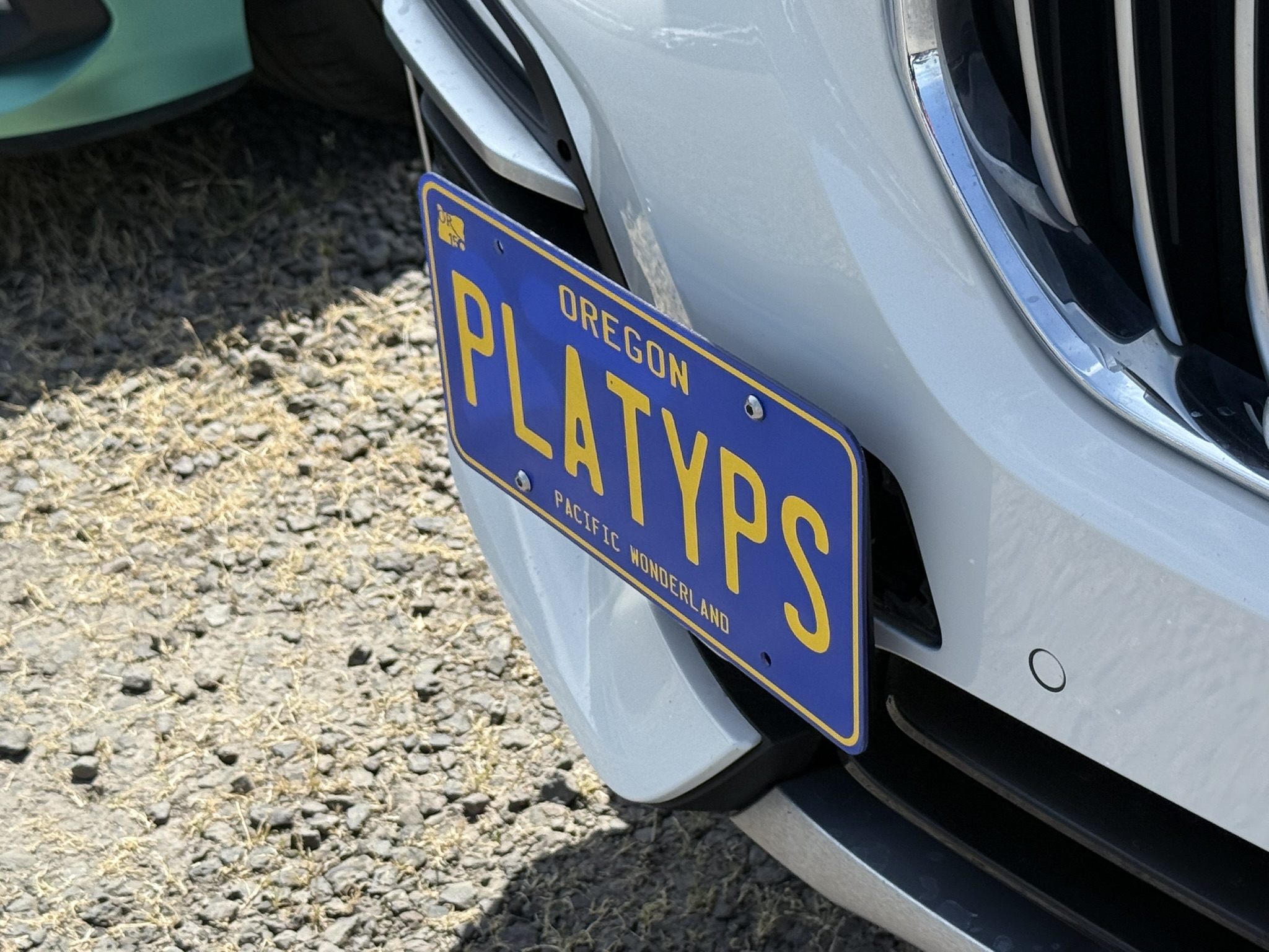 The Platypus License Plate Mount for BMW X5 G05 2019 to 2025 sDrive40i/xDrive40i (Shown on a pre-facelift 2020 X5 xDrive40i