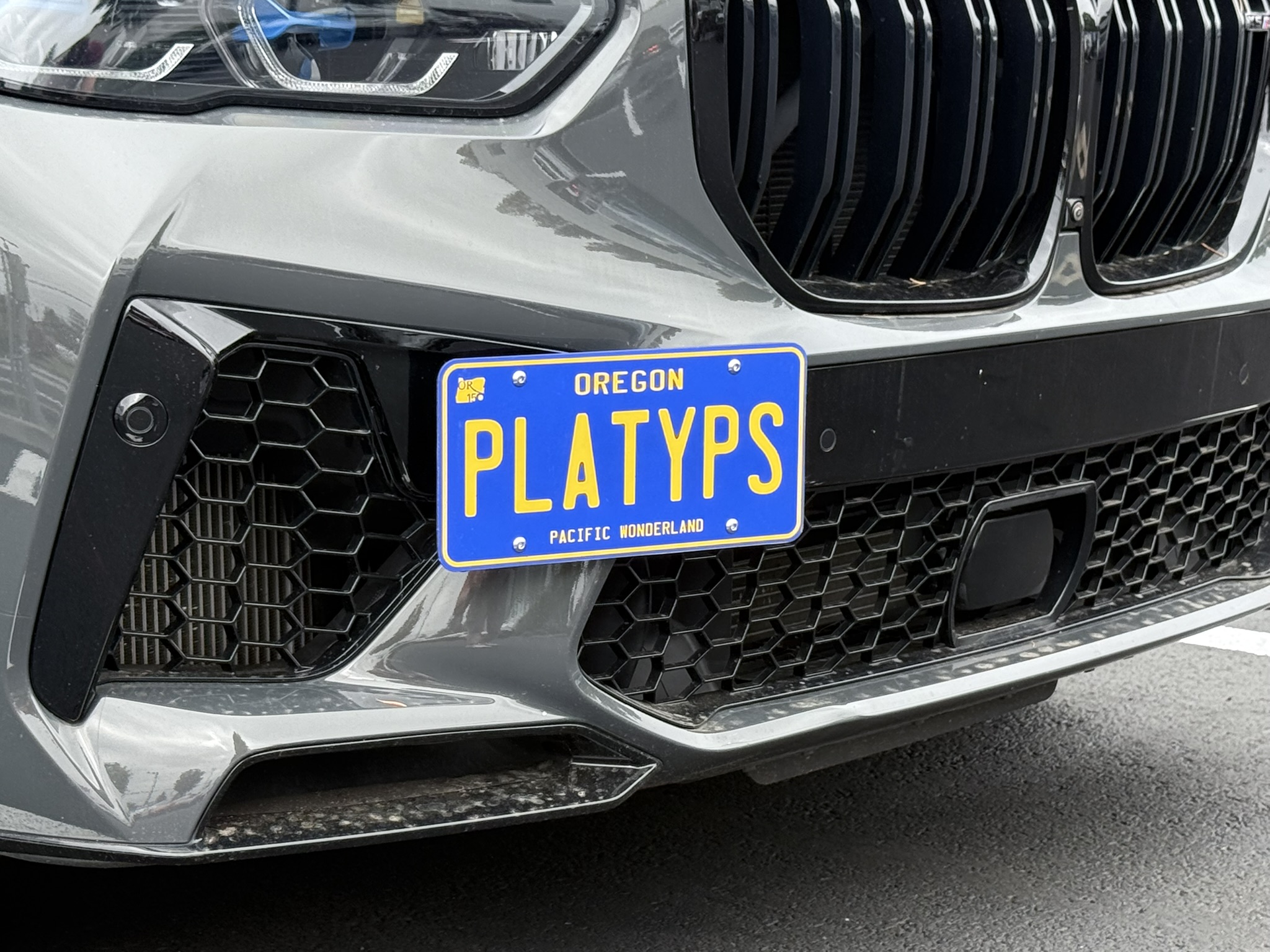 The Platypus License Plate Mount for BMW X5 G05 2019 to 2026 X5 M / X5 M Competition (2020 - 2026)
