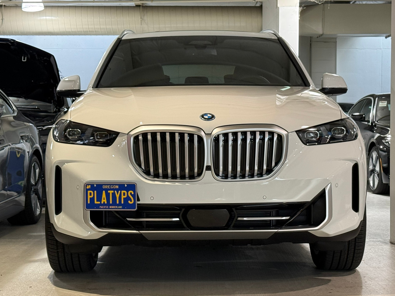 https://cdn11.bigcommerce.com/s-351ed/images/stencil/{:size}/products/7480/281686/the_platypus_license_plate_mount_for_bmw_x5_g05_2019_to_2025_xdrive45e_S5SIYJA_7480__29363.1746126069.jpg?c=2