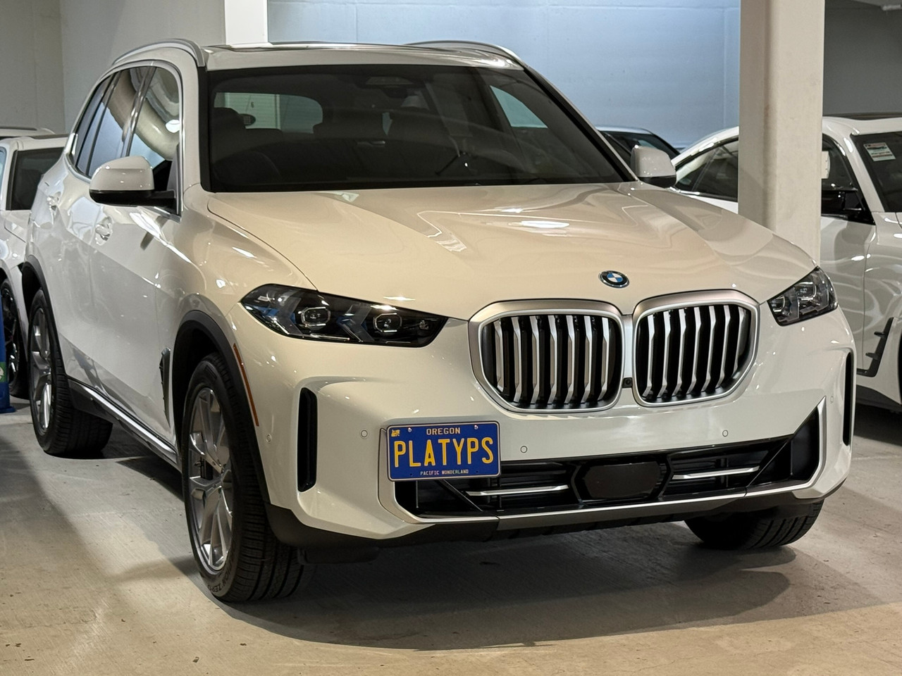 The Platypus License Plate Mount for BMW X5 G05 2019 to 2025 xDrive45e