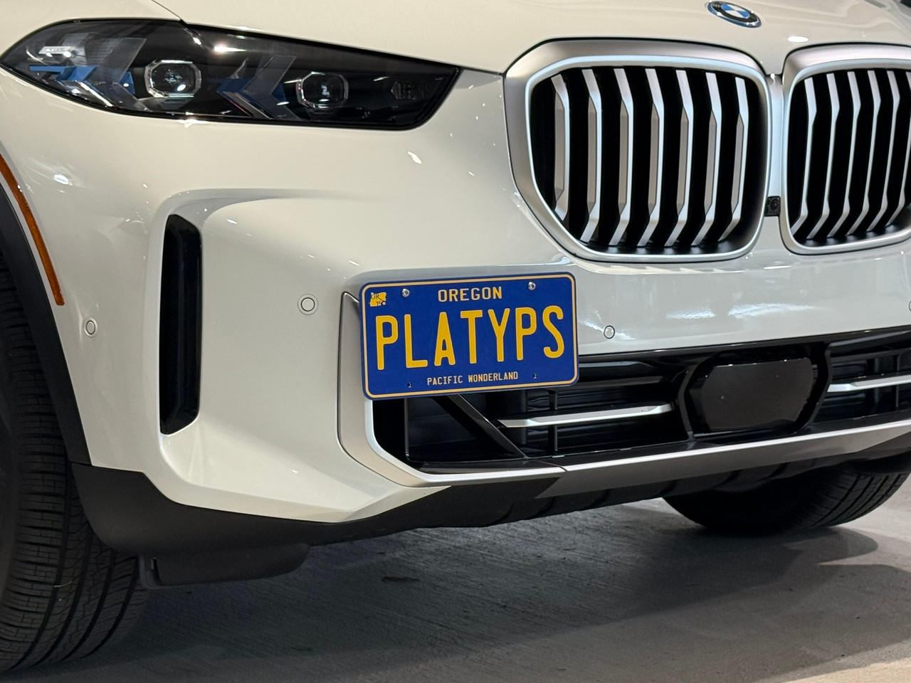 The Platypus License Plate Mount for BMW X5 G05 2019 to 2025 xDrive45e