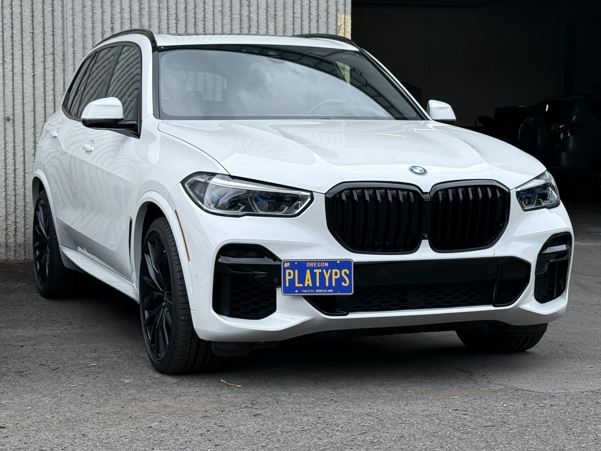 The Platypus License Plate Mount for BMW X5 G05 2019 to 2023 M-Sport Package 