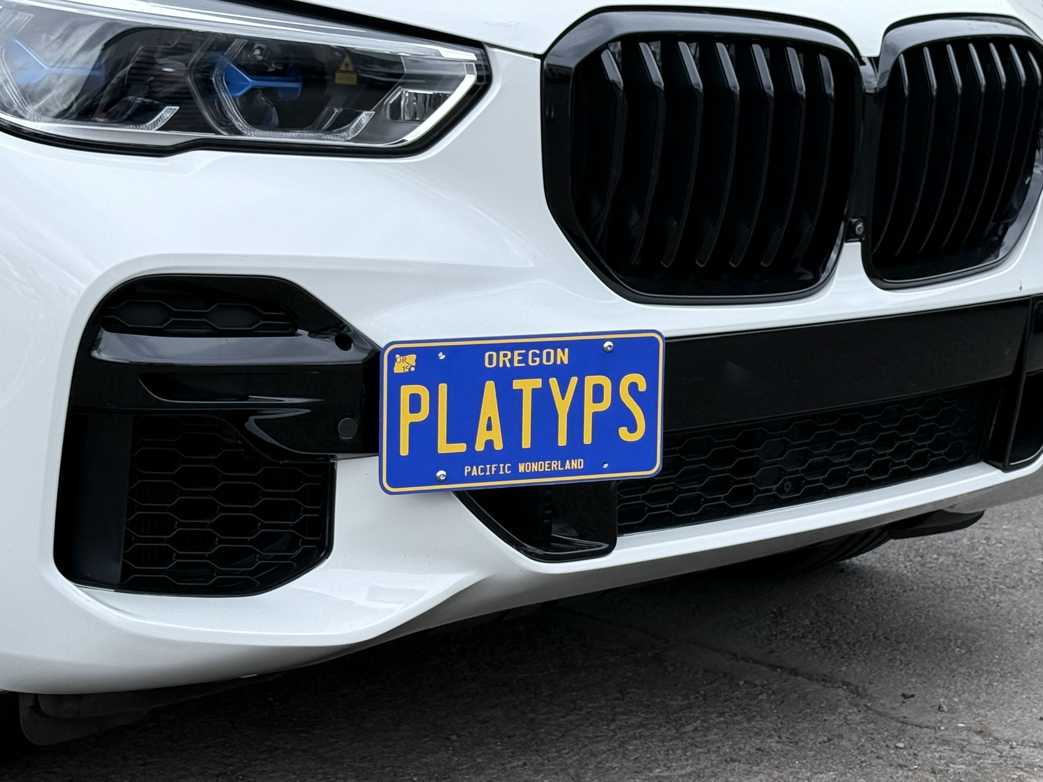 The Platypus License Plate Mount for BMW X5 G05 2019 to 2023 M-Sport Package 