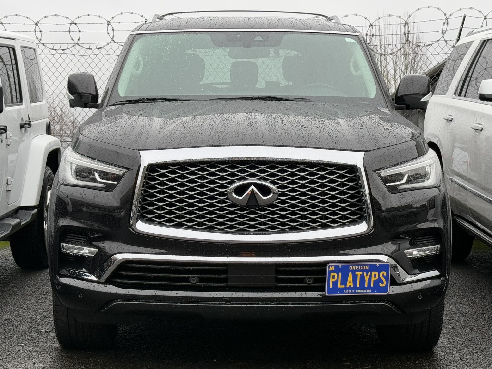 The Platypus License Plate Mount for INFINITI QX80 J62 2014 to 2021