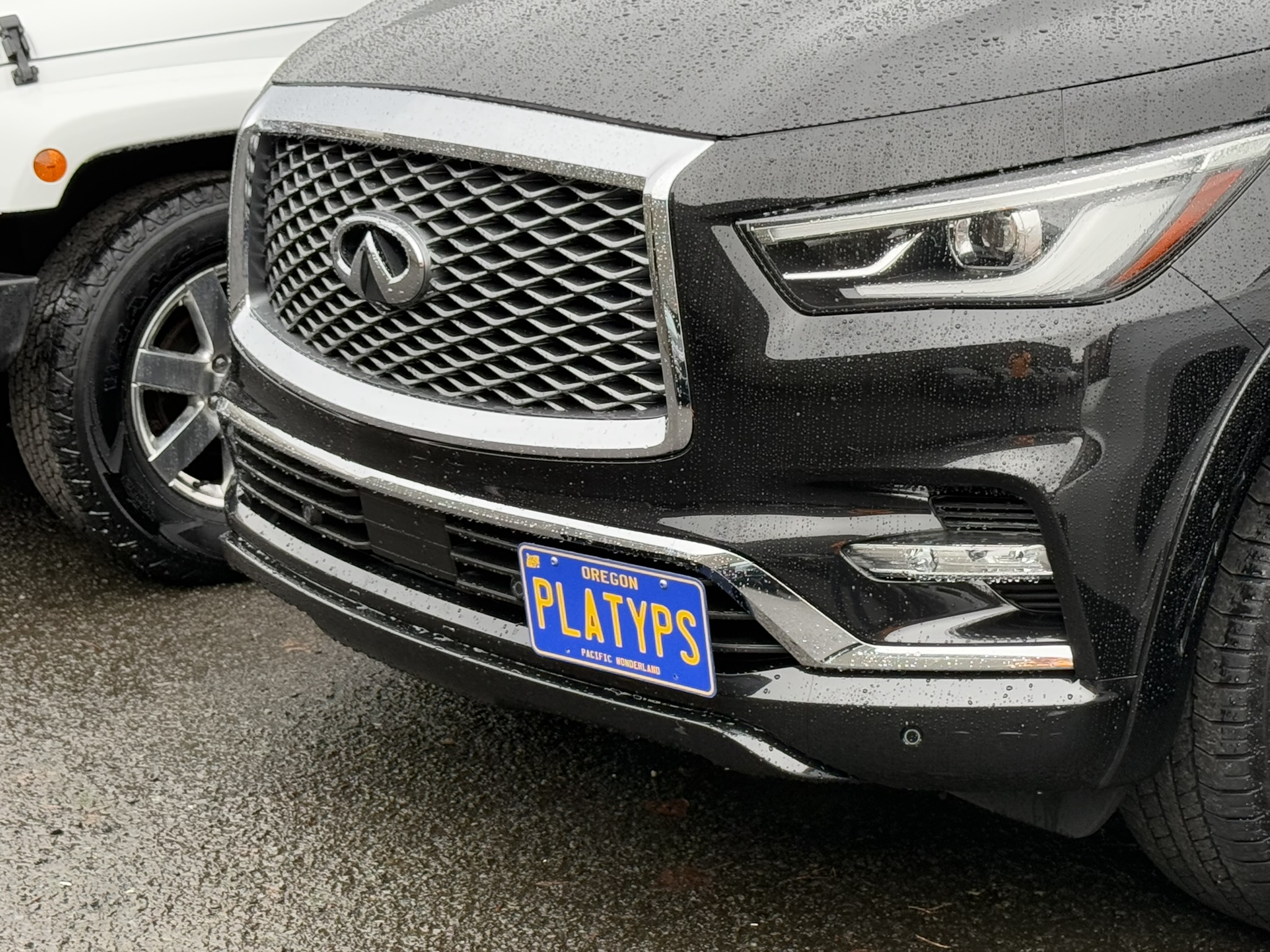The Platypus License Plate Mount for INFINITI QX80 J62 2014 to 2021