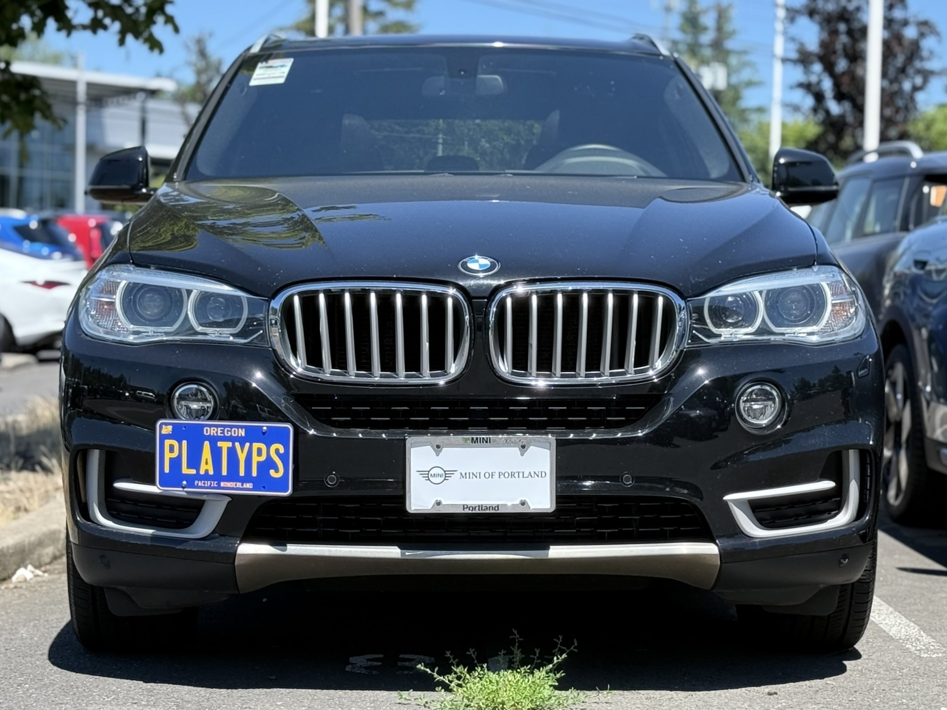 https://cdn11.bigcommerce.com/s-351ed/images/stencil/{:size}/products/7511/169294/the_platypus_license_plate_mount_for_bmw_x5_f15_2014_to_2018_base_M2KWLP8_7511__28991.1751926496.jpg?c=2