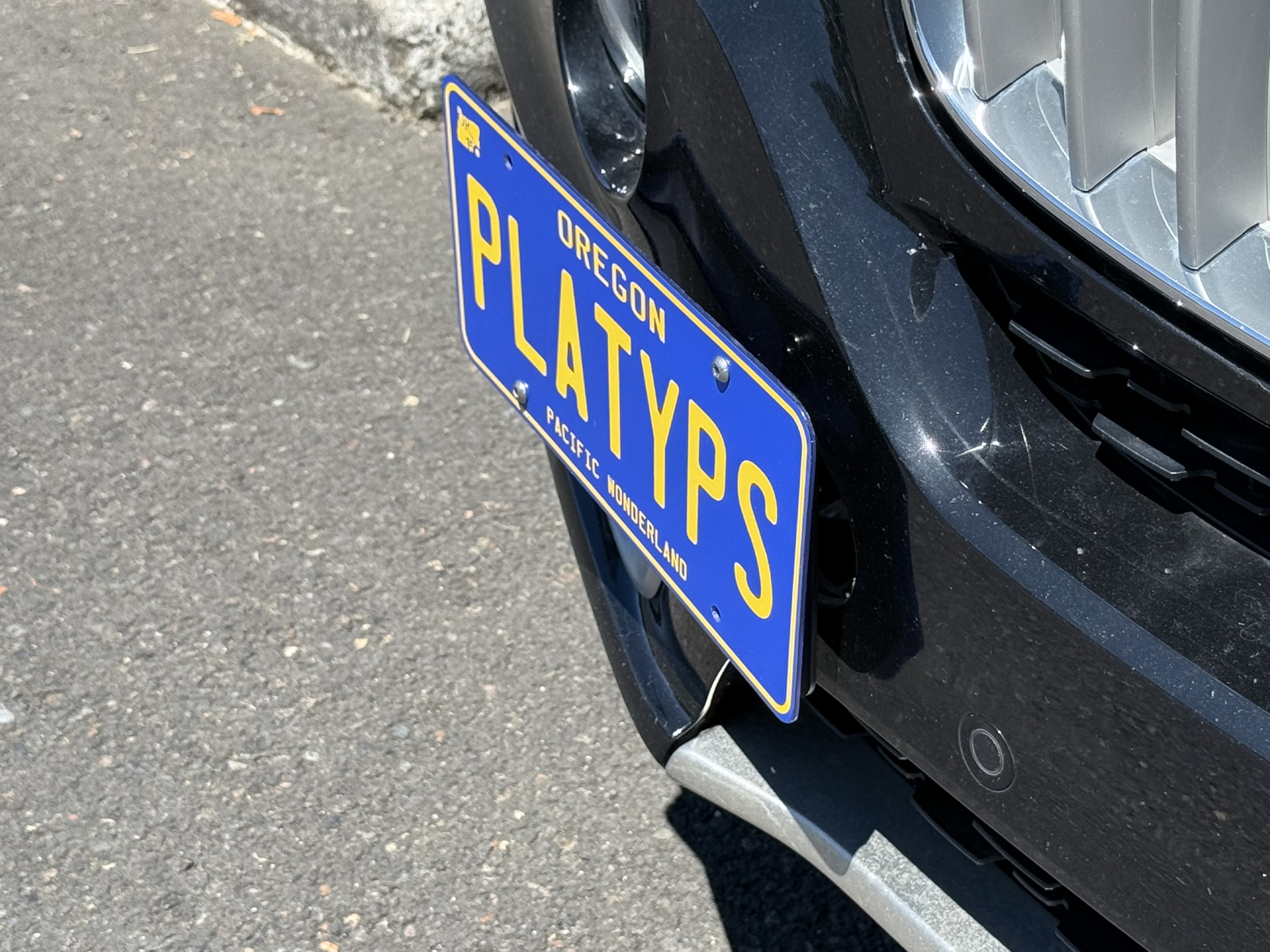 The Platypus License Plate Mount for BMW X5 F15 2014 to 2018 Base