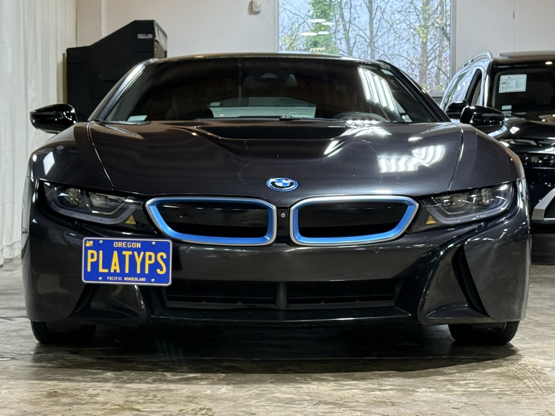 The Platypus License Plate Mount for BMW i8 I12 2014 to 2020