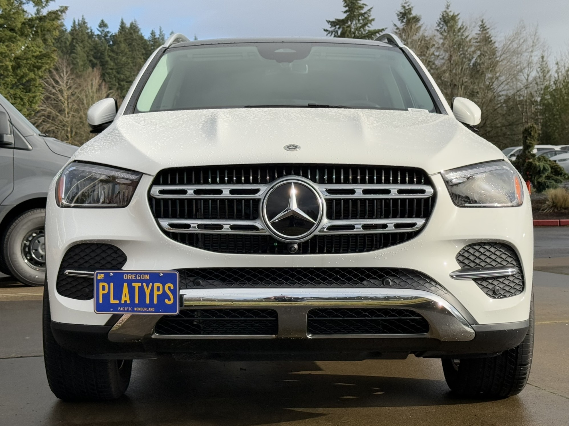 https://cdn11.bigcommerce.com/s-351ed/images/stencil/{:size}/products/7556/279116/the_platypus_license_plate_mount_for_mercedes-benz_gle-class_w167_2020_to_2025_base_VMMJGT0_7556__63968.1736882548.jpg?c=2