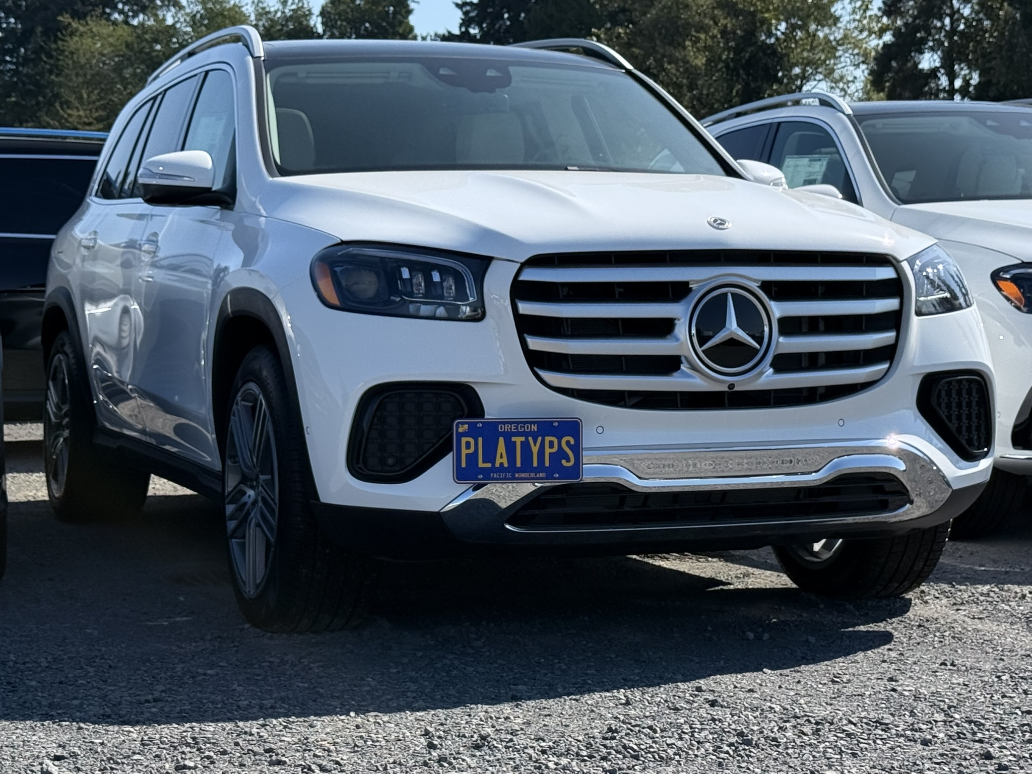 https://cdn11.bigcommerce.com/s-351ed/images/stencil/{:size}/products/7560/278790/the_platypus_license_plate_mount_for_mercedes-benz_gls-class_x166_2017_to_2025_amg_IEO0ON0_7560__47087.1759340463.jpg?c=2