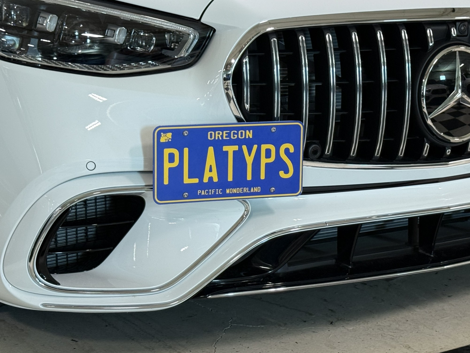 The Platypus License Plate Mount installed on a 2025 Mercedes-Benz AMG S 63 E 