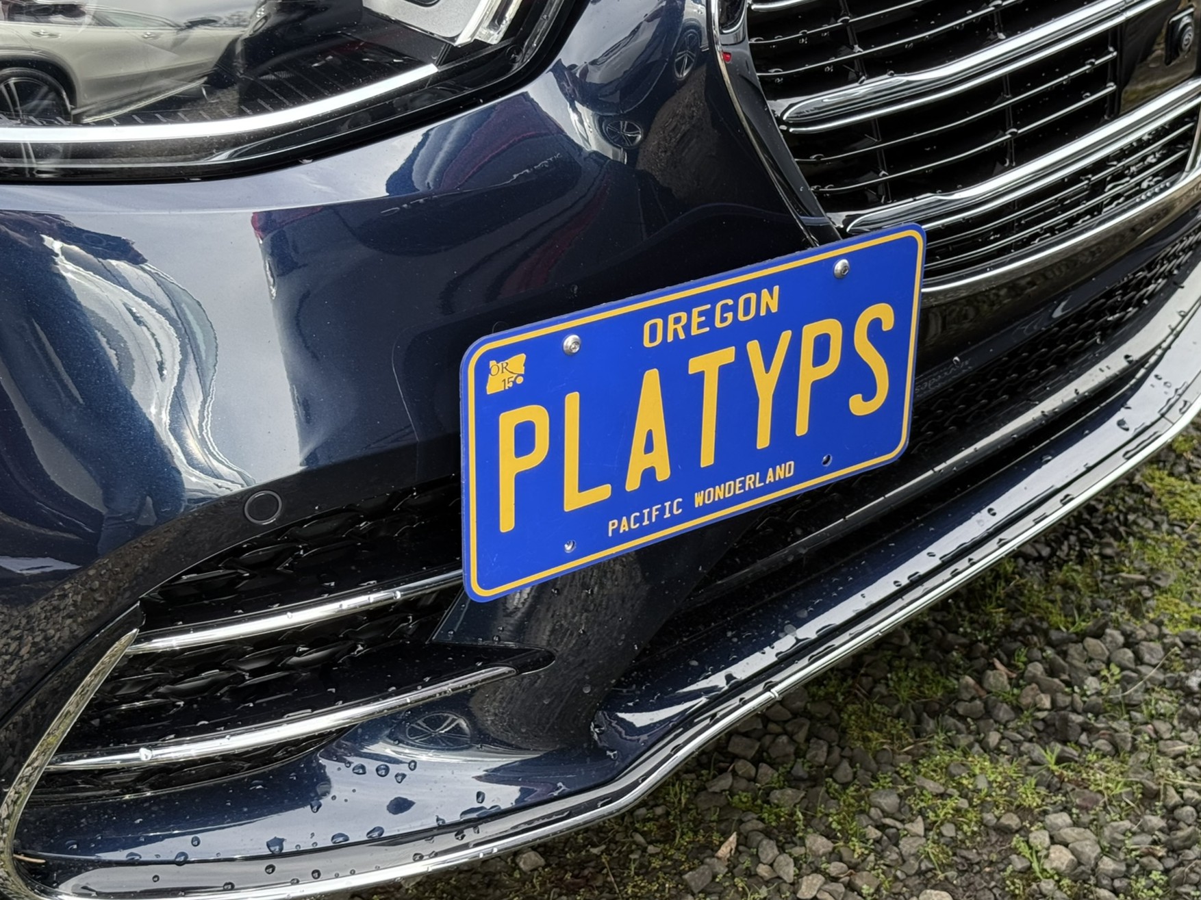 The Platypus License Plate Mount for Mercedes-Benz S 580 / S 580e (W223 2021 to 2025) 