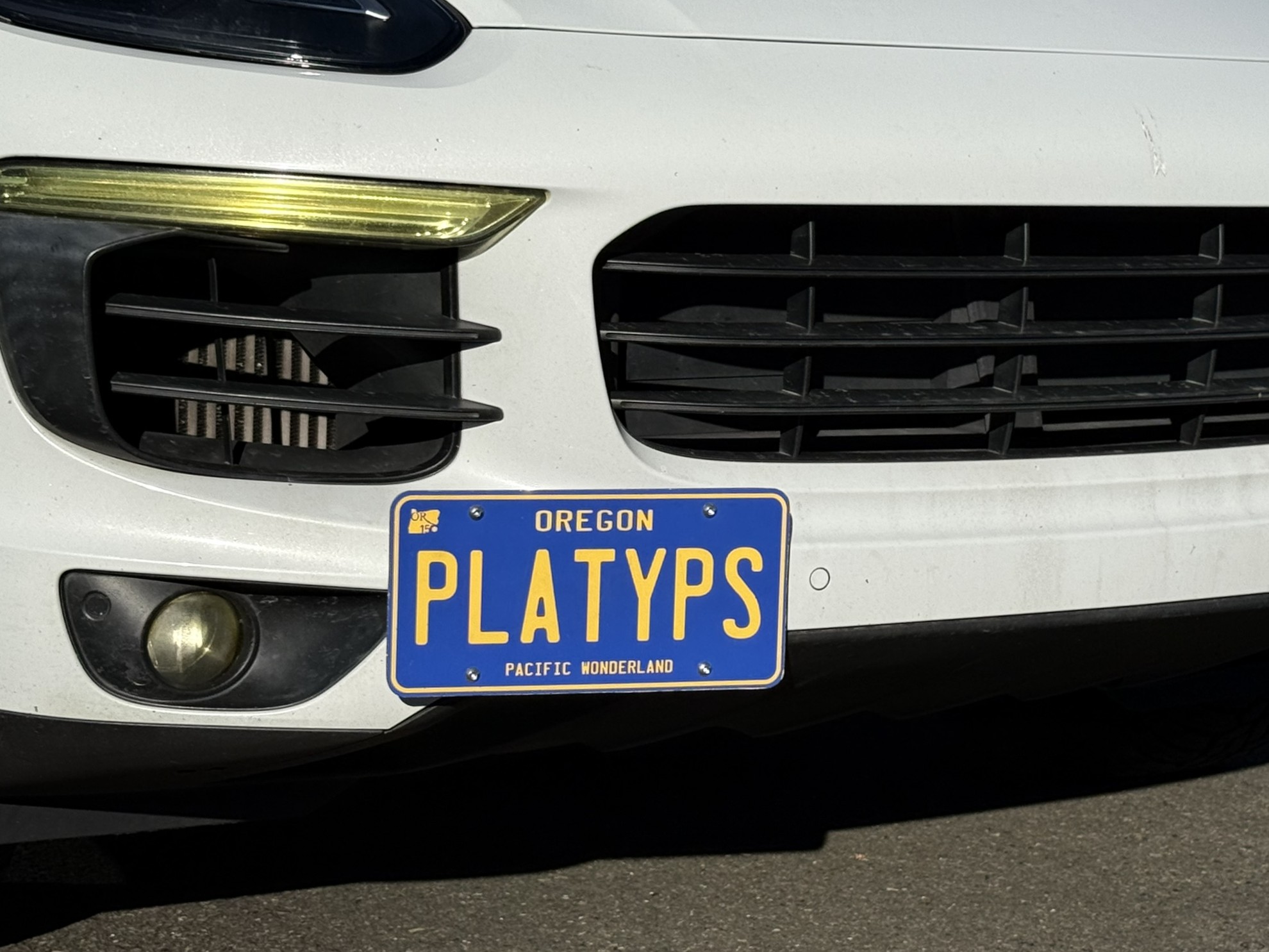 The Platypus License Plate Mount for Porsche Cayenne 958 2011 to 2018