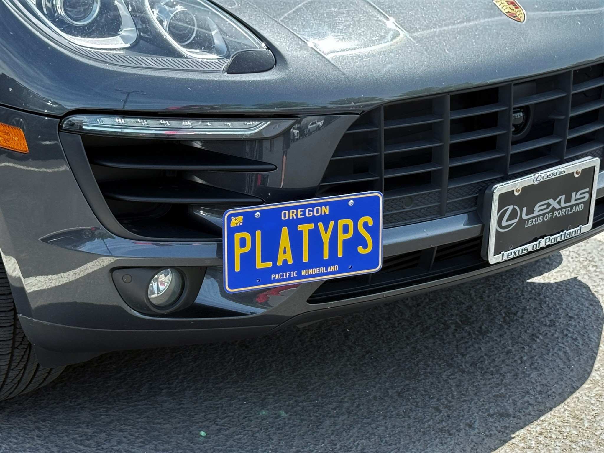 The Platypus License Plate Mount for Porsche Macan 1st gen 95B 2015 to 2025 95B.1 (2015 - 2018) Macan Base (2017 &amp; 2018)