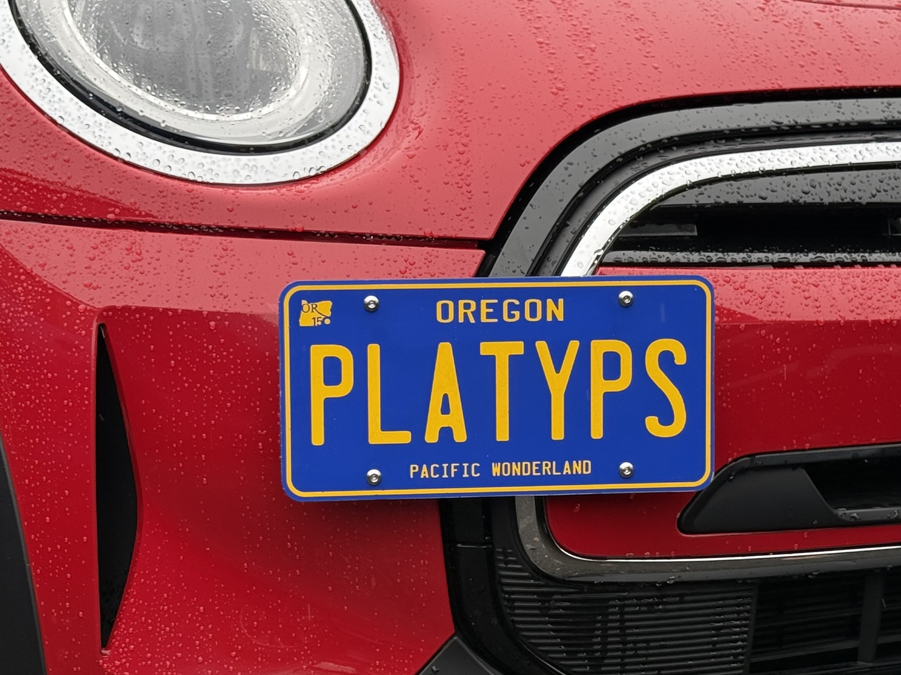 The Platypus License Plate Mount for MINI Cooper F55 2014 to 2024 SE (electric)
