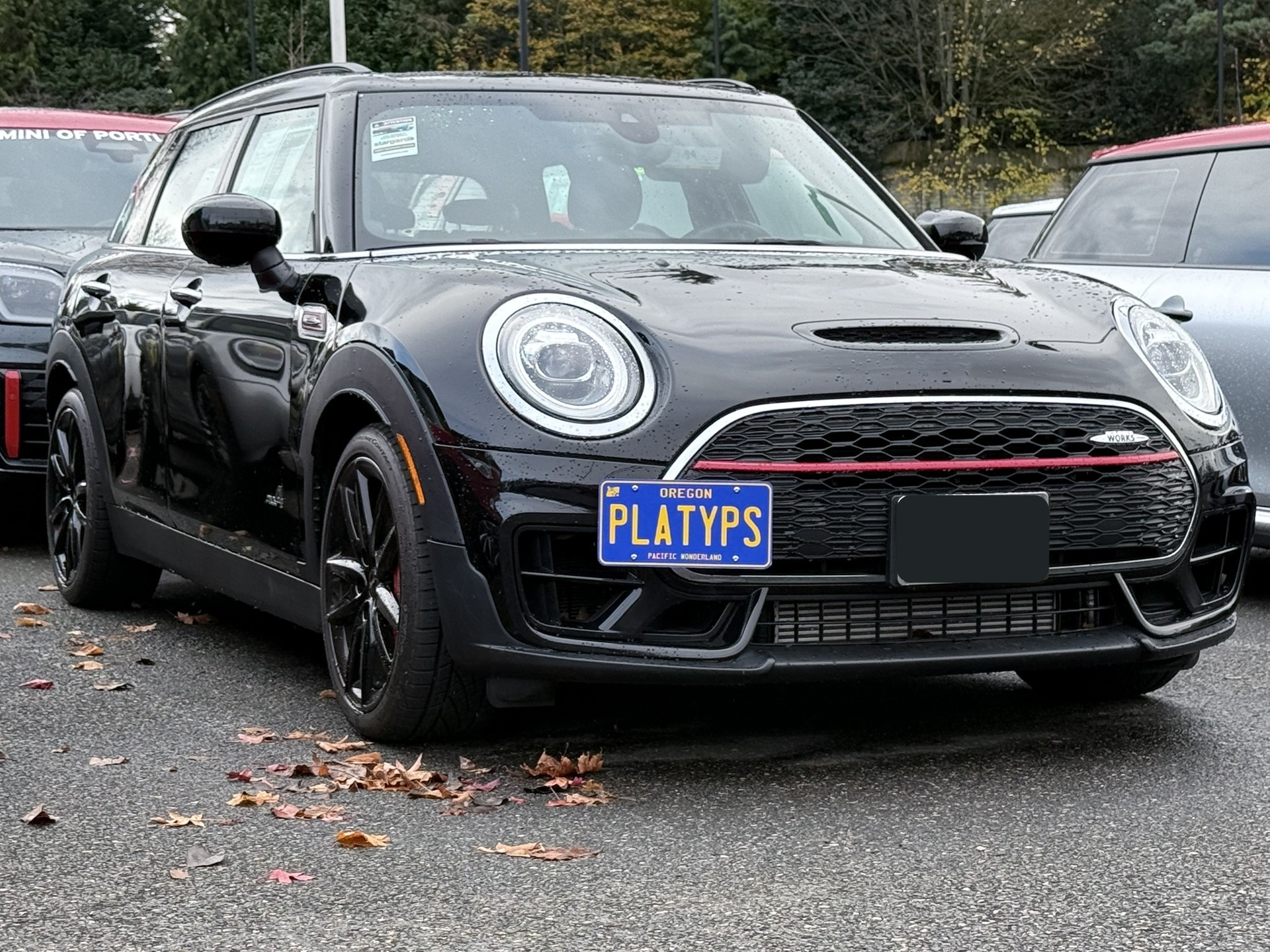 https://cdn11.bigcommerce.com/s-351ed/images/stencil/{:size}/products/7622/289858/CS-AB883-74D_7622_the_platypus_license_plate_mount_for_mini_clubman_f54_2016_to_2024__41086.1764865208.jpg?c=2