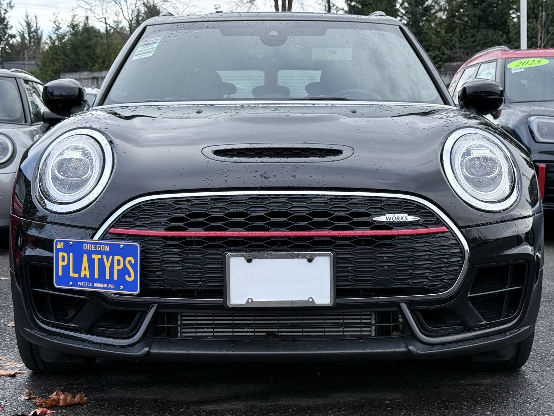 The Platypus License Plate Mount for MINI Clubman F54 2016 to 2024