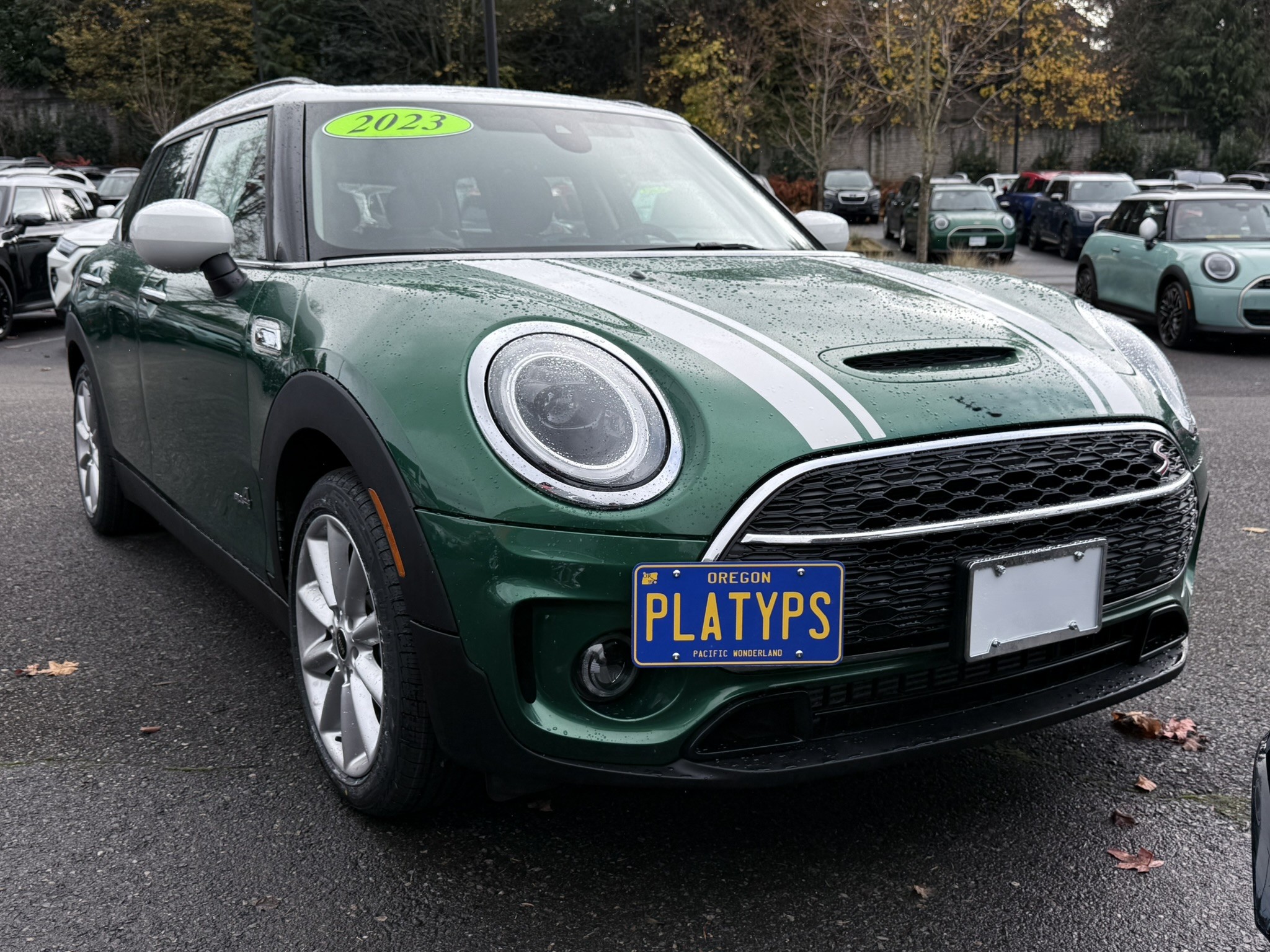 The Platypus License Plate Mount shown on a 2023 Clubman Cooper S