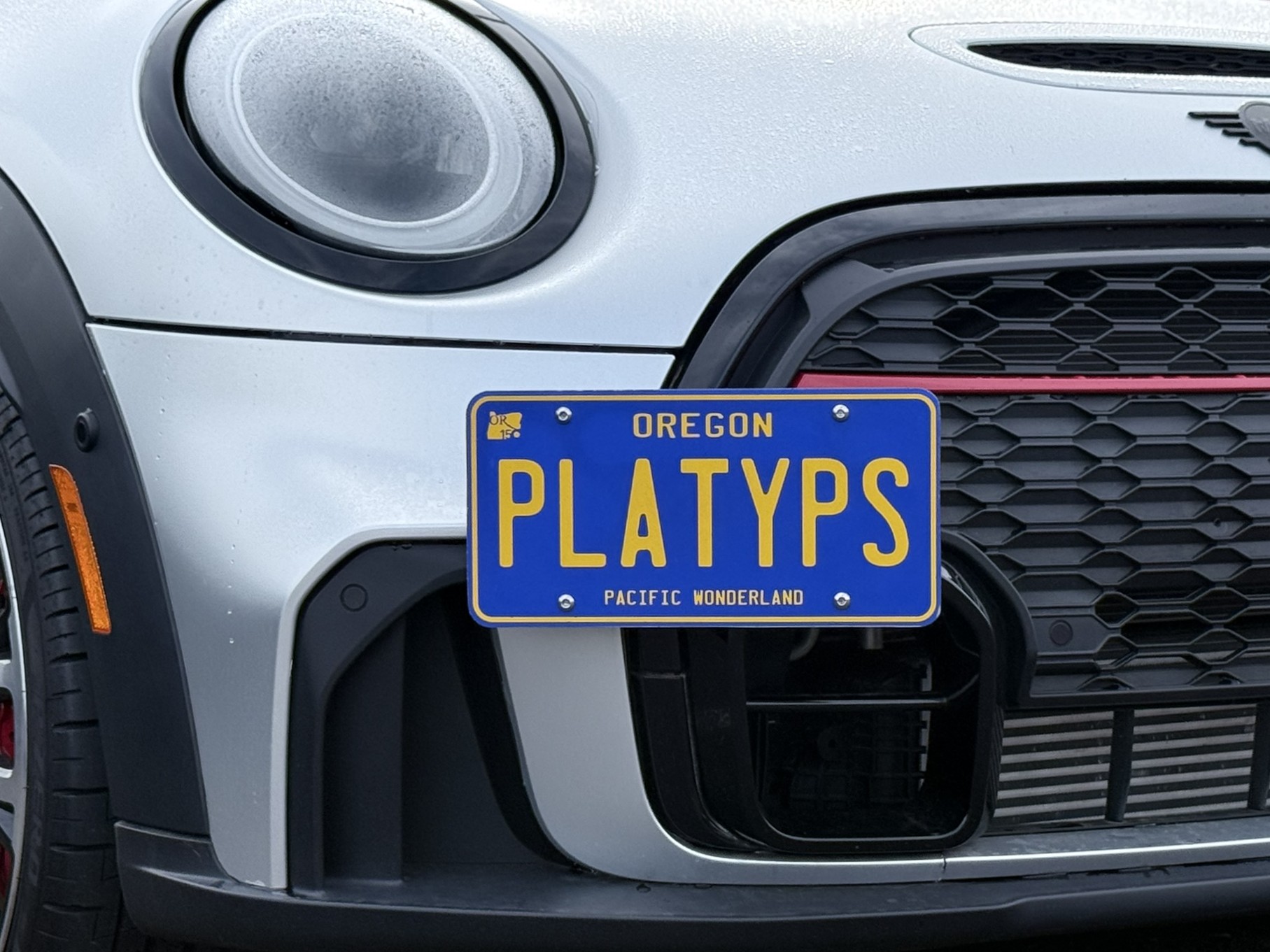 The Platypus License Plate Mount for MINI Convertible F57 2016 to 2024