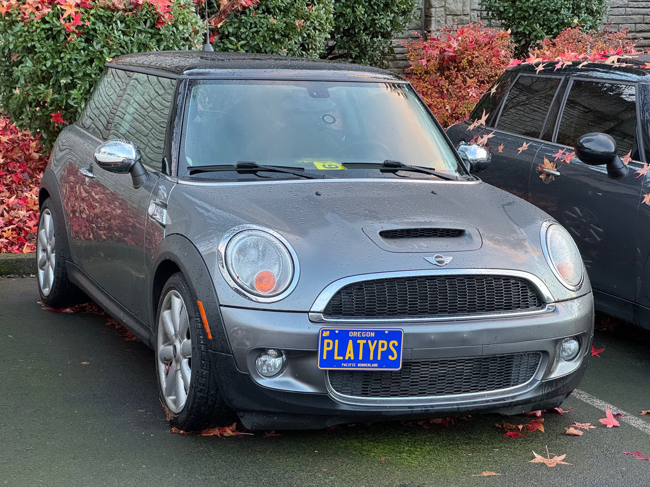 https://cdn11.bigcommerce.com/s-351ed/images/stencil/{:size}/products/7628/280835/the_platypus_license_plate_mount_for_mini_clubman_r55_2008_to_2014_2008-2010_4DPRJVL_7628__35215.1744322323.jpg?c=2