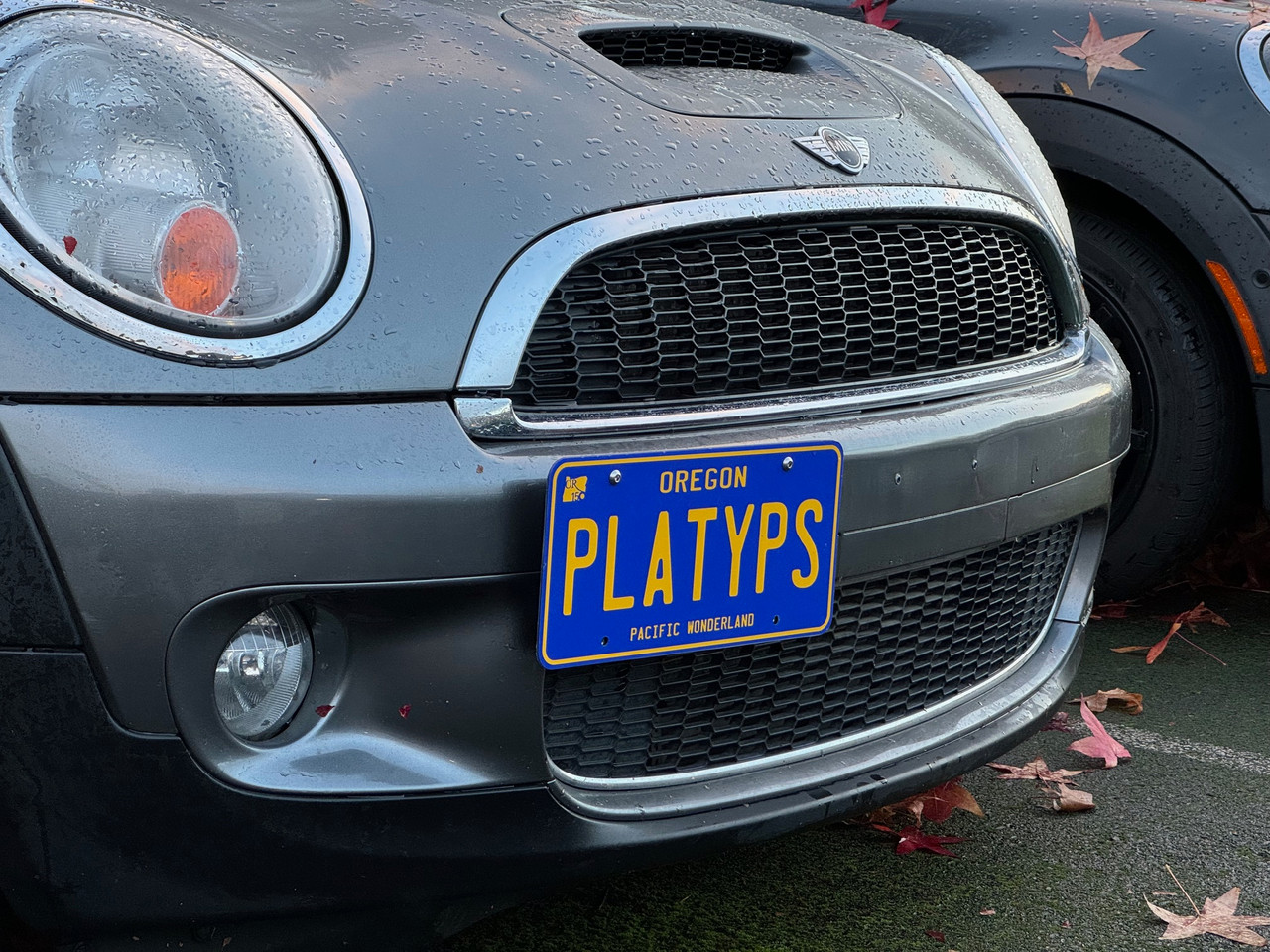 The Platypus License Plate Mount for MINI Clubman R55 2008 to 2014 2008-2010
