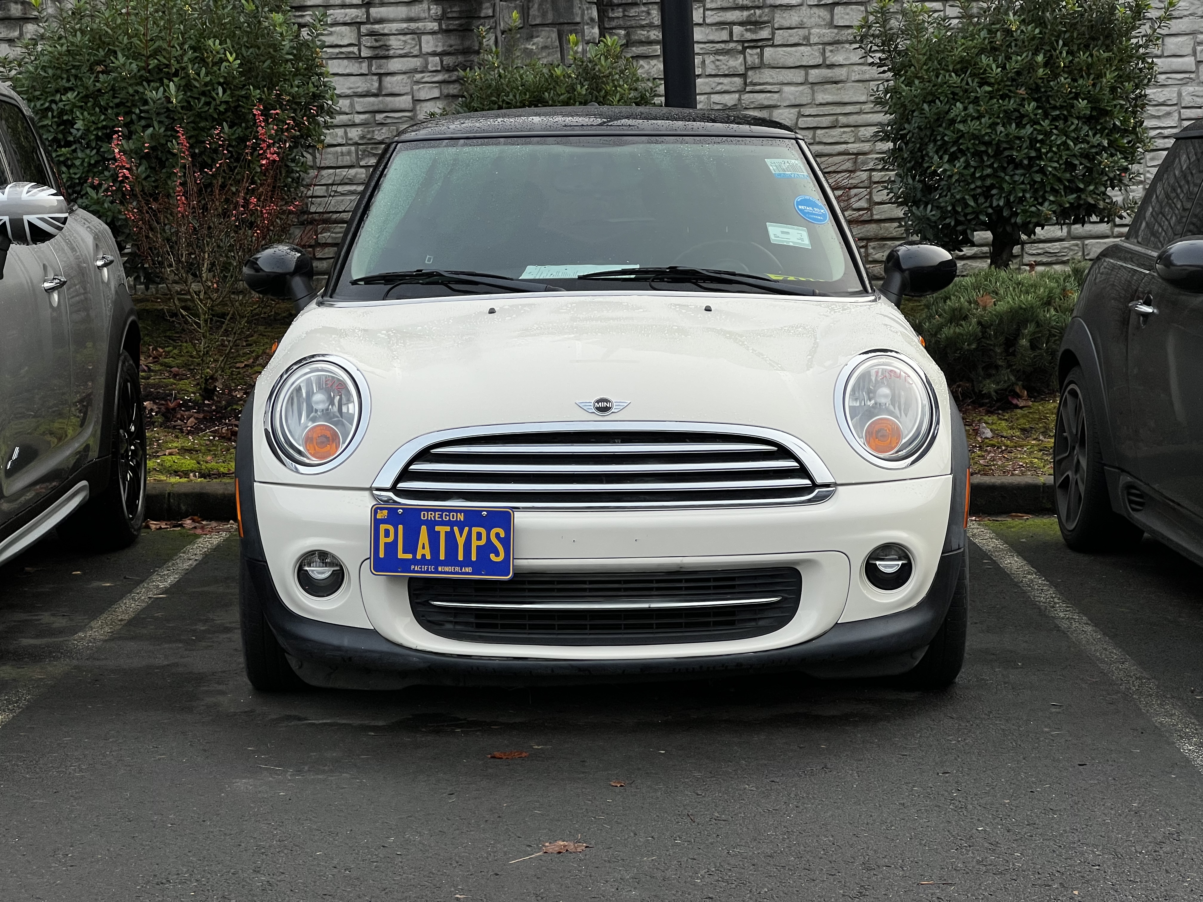 The Platypus License Plate Mount for MINI Convertible R57 (Cabrio) 2009 to 2015 Base / S / JCW (2011-2015)