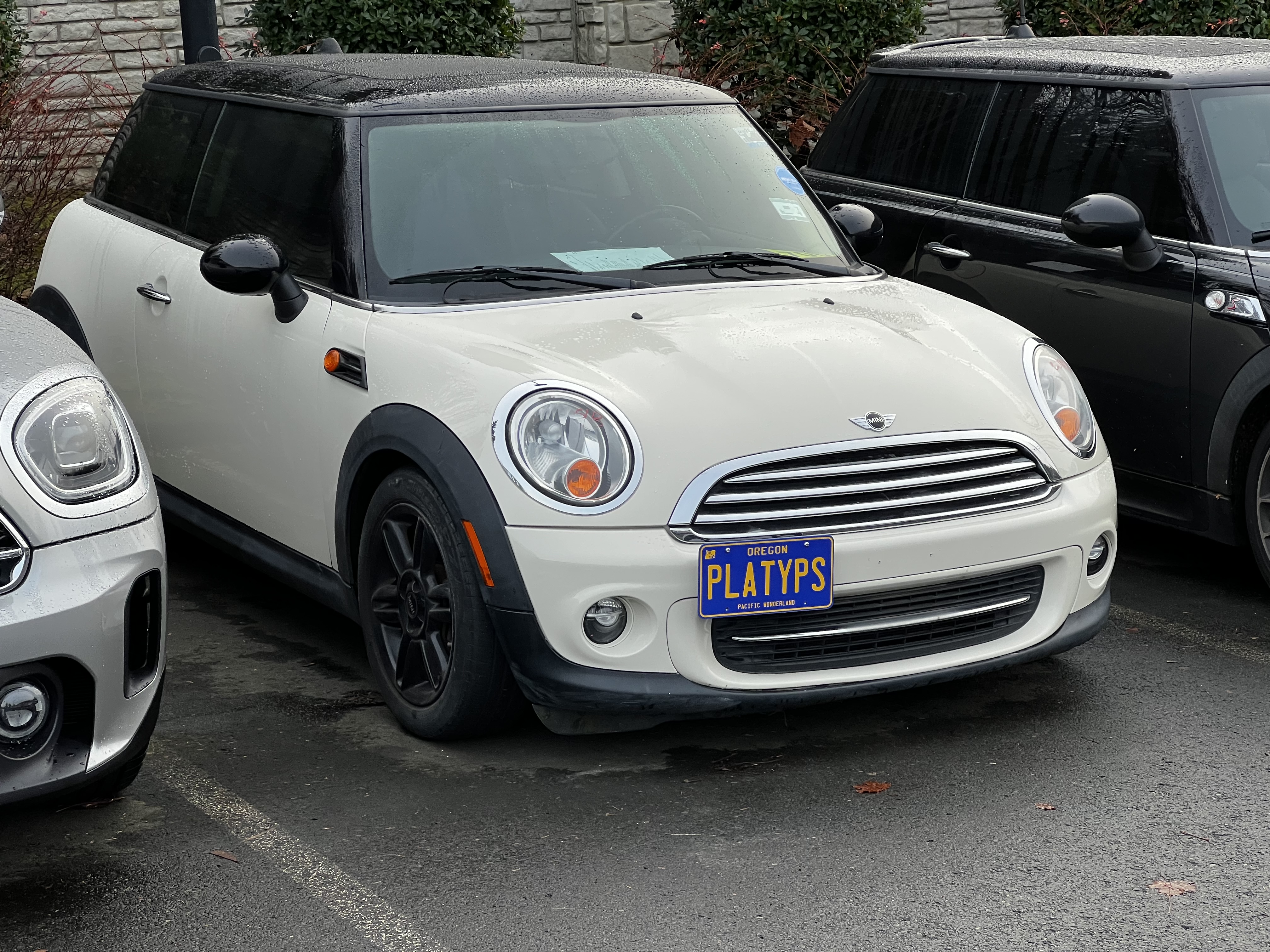 The Platypus License Plate Mount for MINI Convertible R57 (Cabrio) 2009 to 2015 Base / S / JCW (2011-2015)