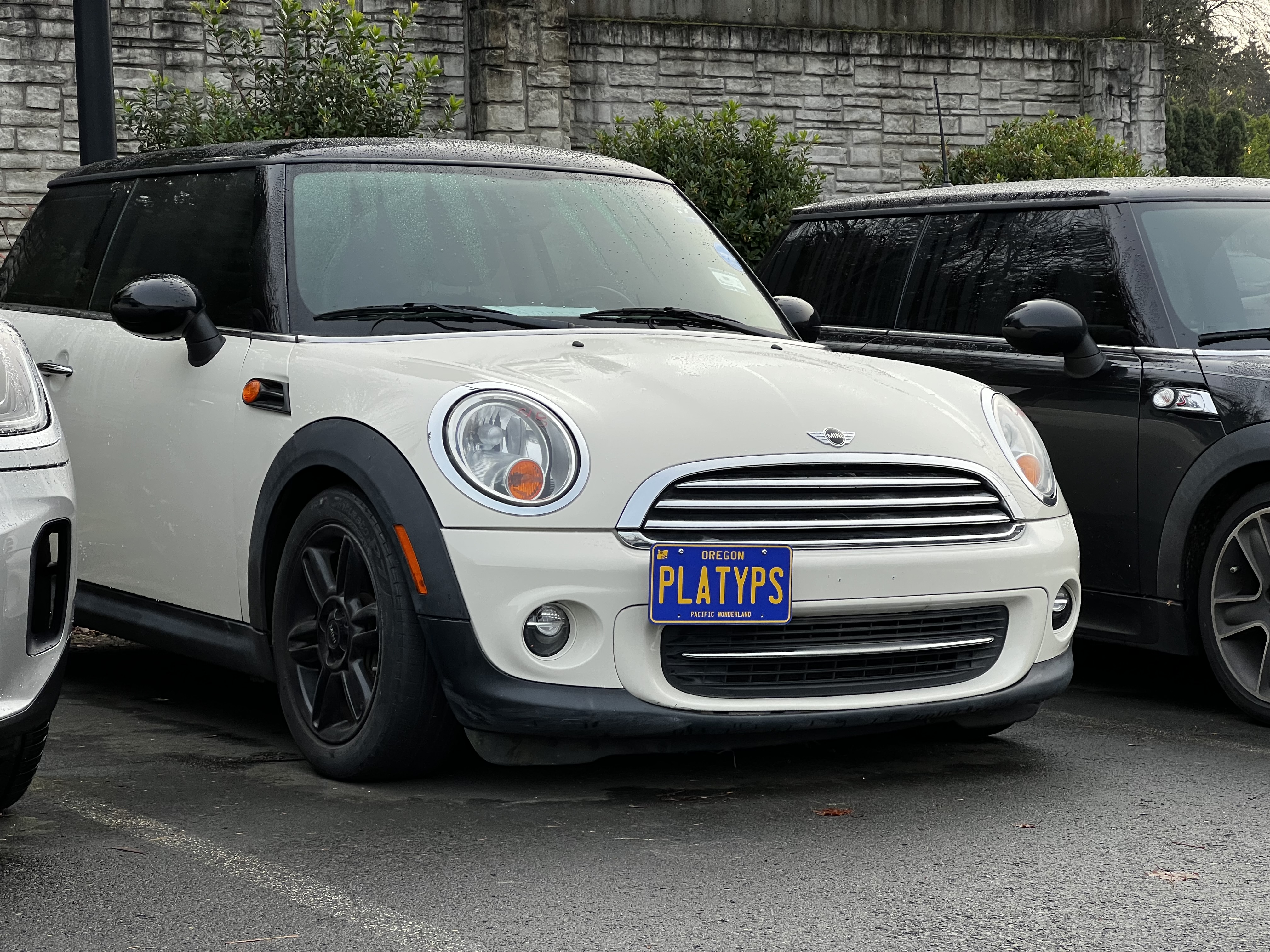 The Platypus License Plate Mount for MINI Convertible R57 (Cabrio) 2009 to 2015 Base / S / JCW (2011-2015)