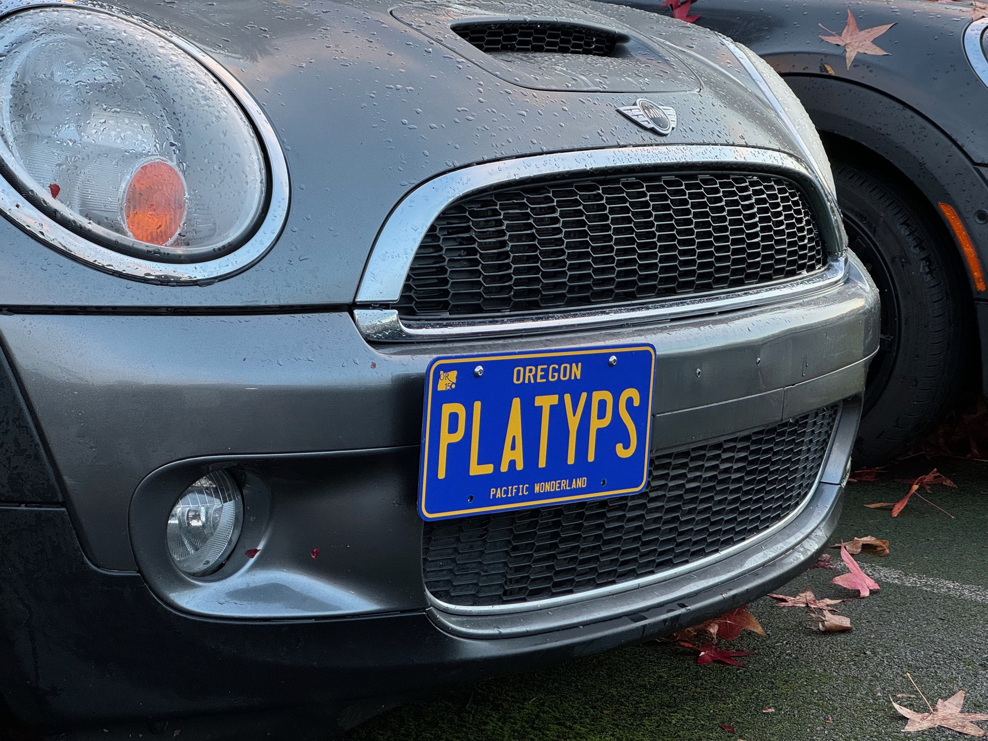 The Platypus License Plate Mount for MINI Cooper R56 2007 to 2013 Base / S / JCW (2007-2010)