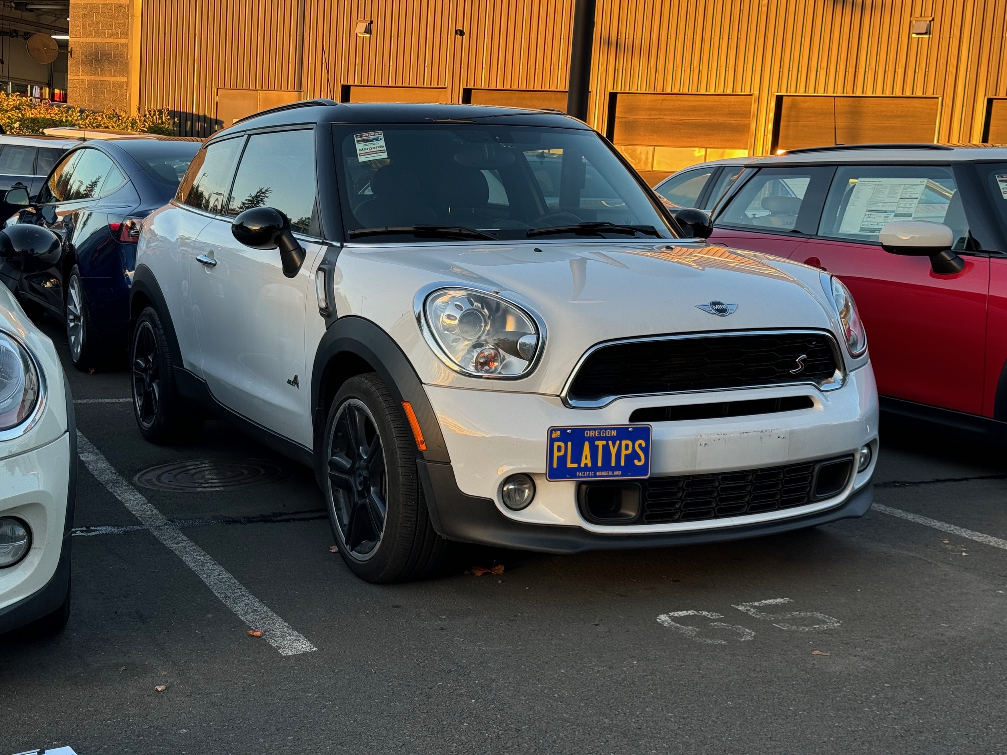 The Platypus License Plate Mount for MINI Paceman R61 2013 to 2016
