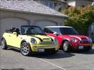 MINI Cooper Cabrio Stubby Antenna