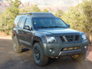 Nissan Xterra Stubby Antenna