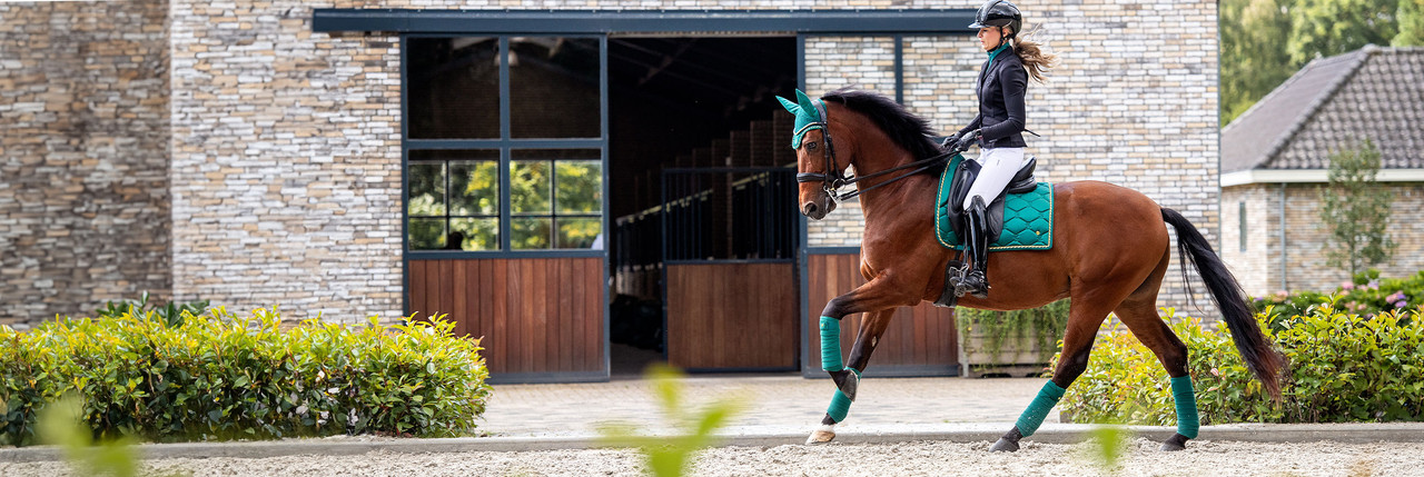 PIKEUR Chaussettes Longues Check - noir - Boutique Equus Vitalis