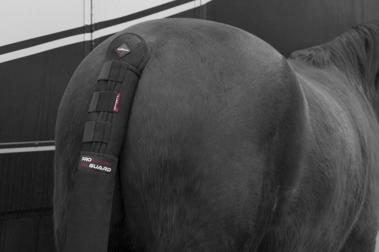 Le Mieux Tail Guard With Bag Black - Equestrian Fashion Asia Pte Ltd