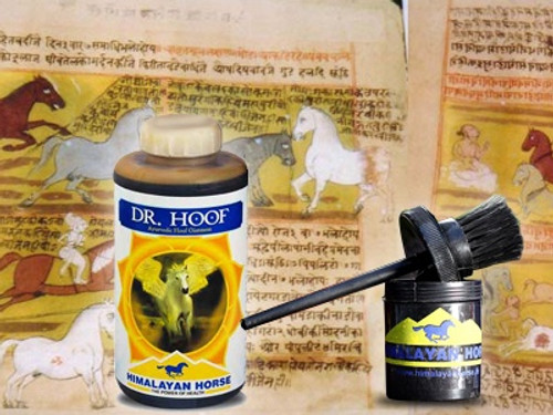 Dr. Hoof Oil