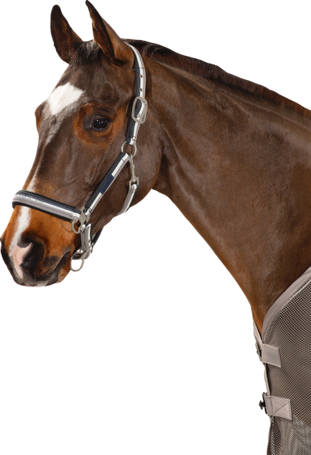 Eskadron Striped Classic Sports 21 Headcollar