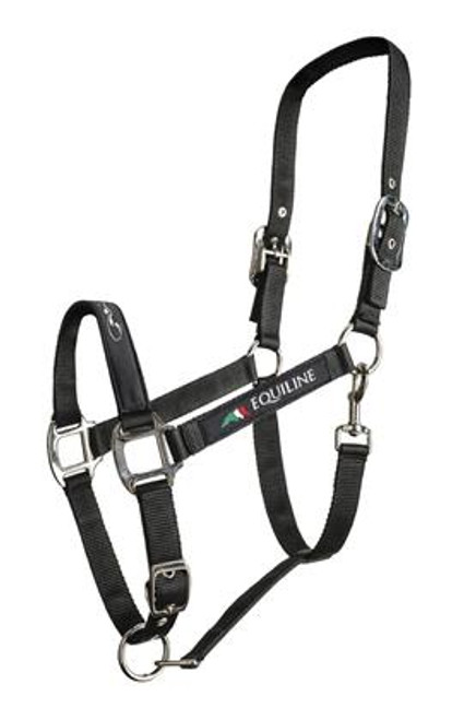 Equiline Halter - Timmy