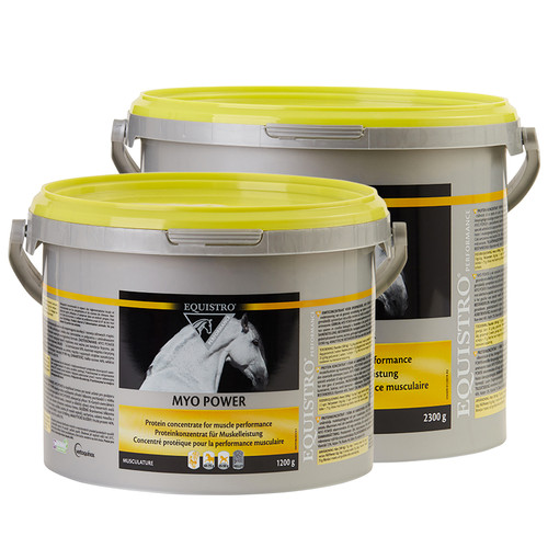 Equistro MYO Power

Particularly recommended for young and athletic horses where a healthy muscular development and condition is important. MYO POWER is a complementary feeding stuff for horses destined to support a healthy muscular development and condition.