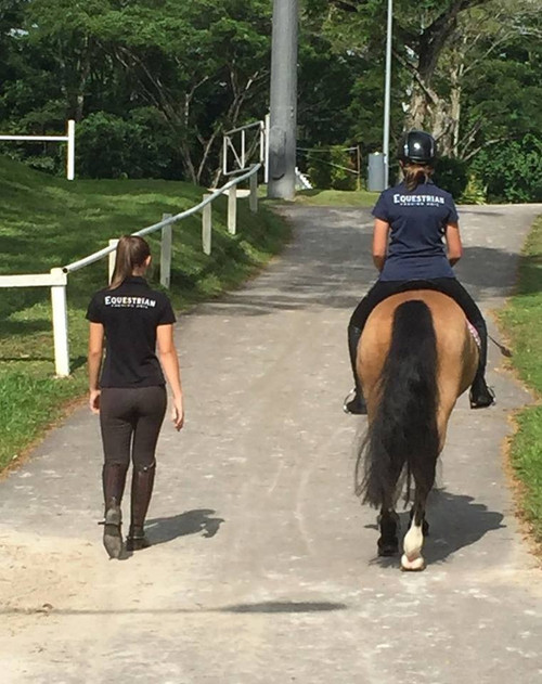 women's polo shorts with horses