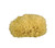 Gerby natural sponge- L