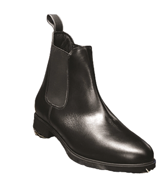 Mark Todd Toddy Zip Jodhpur Boots Junior Mark Todd Toddy Zip Jodhpur Boots Junior