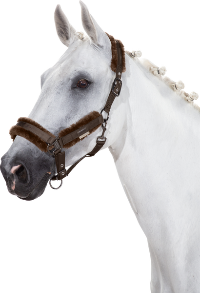 Eskadron Headcollar Doublepin GLOSSY FAUXFUR Platinum 20