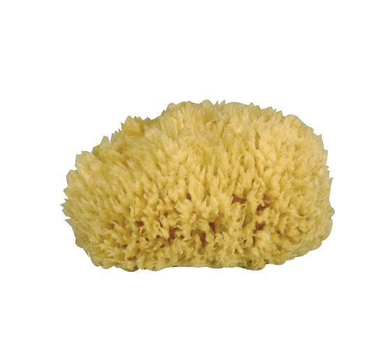 Gerby natural sponge- L