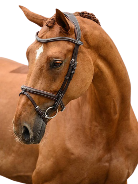 PS of Sweden Stockholm Bridle PS of Sweden Stockholm Bridle
